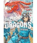 DRIFTING DRAGONS VOL 01