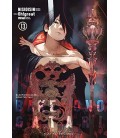 BAKEMONOGATARI VOL 13