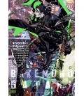 BAKEMONOGATARI VOL 12