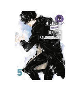 MISTERIO PROHIBIDO DE RON KAMONOHASHI 05