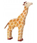 GIRAFA CON LA CABEZA LEVANTADA