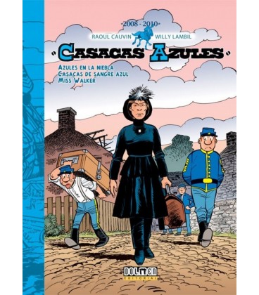 CASACAS AZULES 2008 2010