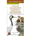 AVES DE GALLOCANTA Y ESTEPAS Y HUMEDALES ARAGONESES