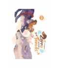 ZORRO Y EL PEQUEÑO TANUKI 03