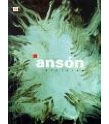 ANSON PINTURAS