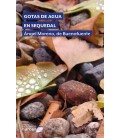 GOTAS DE AGUA EN SEQUEDAL