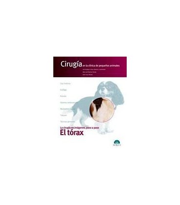 TORAX CIRUGIA EN LA CLINICA DE PEQUEÑOS ANIMALES