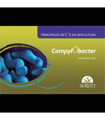 PRINCIPALES RETOS EN AVICULTURA. CAMPYLOBACTER