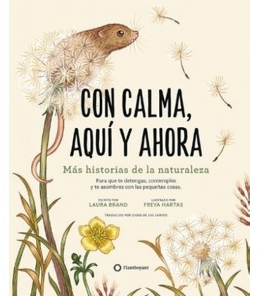 CON CALMA AQUI Y AHORA