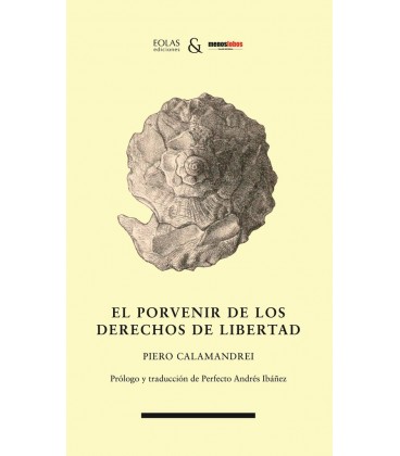 EL PORVENIR DE LOS DERECHOS DE LIBERTAD