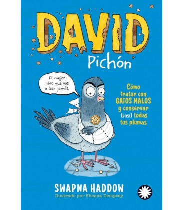 DAVID PICHON