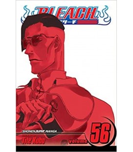 BLEACH MAXIMUM 28