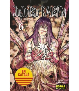 JUJUTSU KAISEN 6