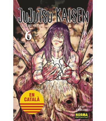 JUJUTSU KAISEN 6