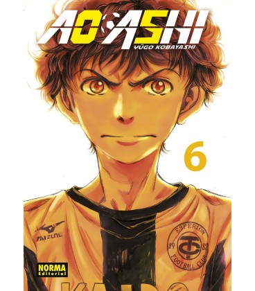 AO ASHI 6