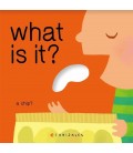 WHAT IS IT (INGLES)