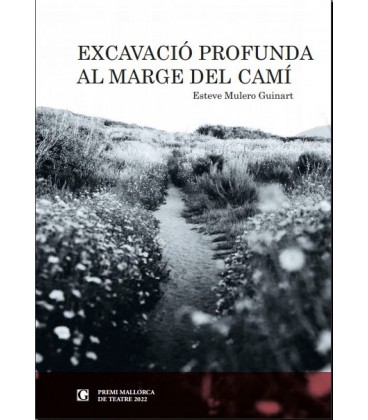 EXCAVACIO PROFUNDA AL MARGE DEL CAMI