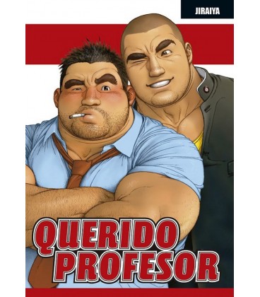 QUERIDO PROFESOR