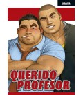 QUERIDO PROFESOR
