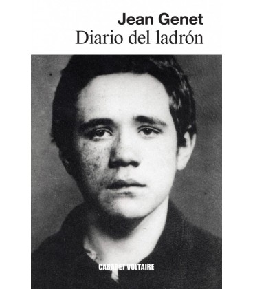 DIARIO DEL LADRON