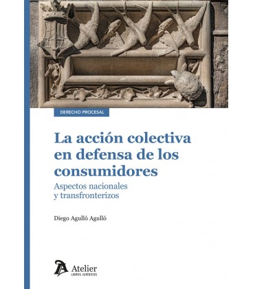 LA ACCION COLECTIVA EN DEFENSA DE LOS CONSUMIDORES ASPECTOS NACIONALES