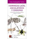 HORMIGAS LEON ASCALAFIDOS Y CRISOPAS