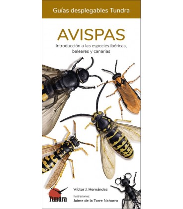 AVISPAS GUIAS DESPLEGABLES TUNDRA