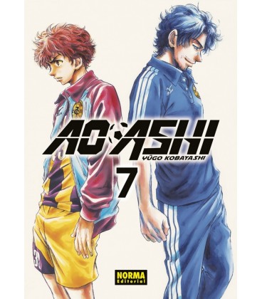 AO ASHI 07