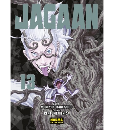 JAGAAN 13