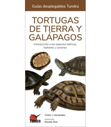 TORTUGAS DE TIERRA Y GALAPAGOS INTRODUCCION A LAS ESPECIES IBERICAS