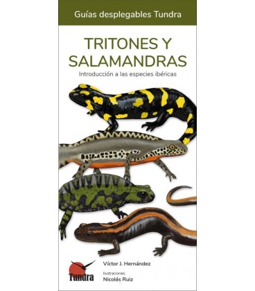 TRITONES Y SALAMANDRA INTRODUCCION A LAS ESPECIES IBERICAS