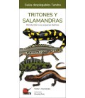 TRITONES Y SALAMANDRA INTRODUCCION A LAS ESPECIES IBERICAS