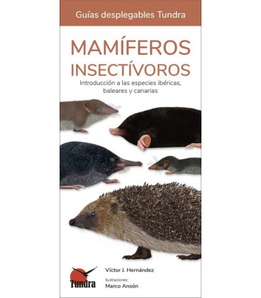 MAMIFEROS INSECTIVOROS