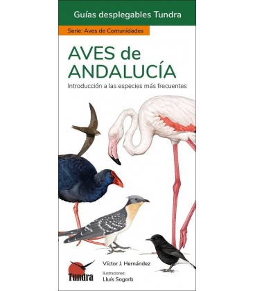 AVES DE ANDALUCIA GUIAS DESPLEGABLES TUNDRA