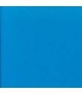 LIBRO AZUL