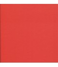 LIBRO ROJO