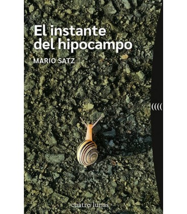 INSTANTE DEL HIPOCAMPO EL