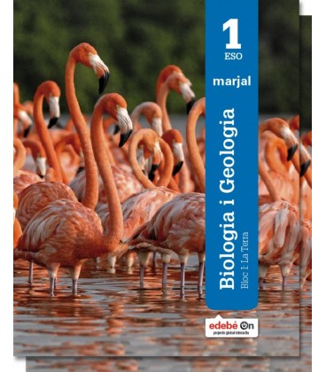 BIOLOGIA I GEOLOGIA ES1 (VAL)