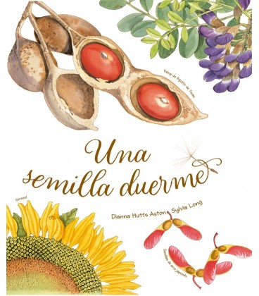 UNA SEMILLA DUERME