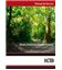 MEDIO AMBIENTE Y GESTION FORESTAL