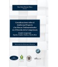 CONSIDERACIONES SOBRE EL INTELLECTUAL PROPERTY Y LAS MARCAS
