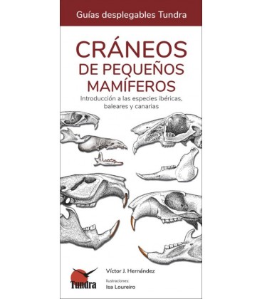 CRANEOS DE PEQUEÑOS MAMIFEROS