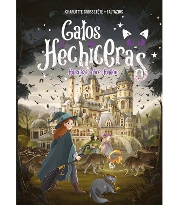 GATOS Y HECHICERAS VOL 11