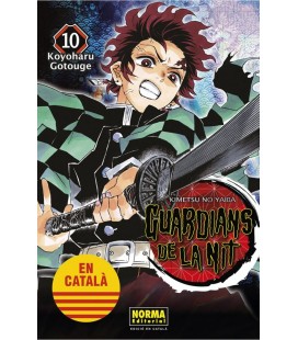 GUARDIANS DE LA NIT 10