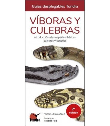 VIBORAS Y CULEBRAS 2 EDICION