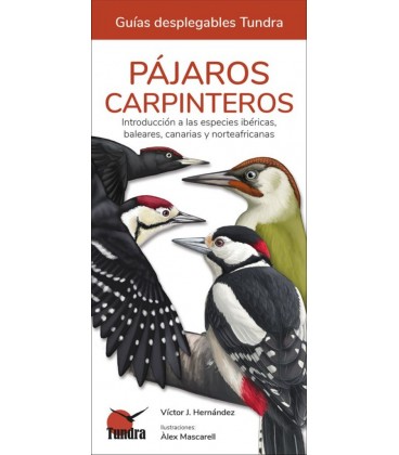 PAJAROS CARPINTEROS