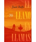 LLANO EN LLAMAS EL