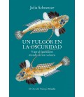 FULGOR EN LA OSCURIDAD UN