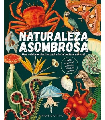 NATURALEZA ASOMBROSA