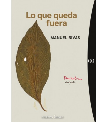 LO QUE QUEDA FUERA